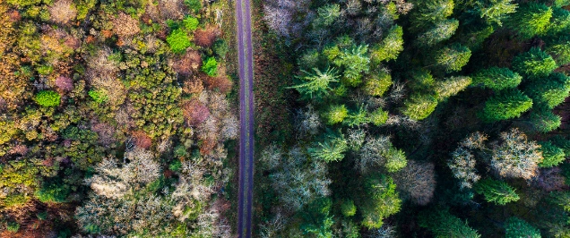 Introducing Indonesia’s New Carbon Law