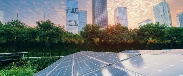 Image of solar panels and green bushes